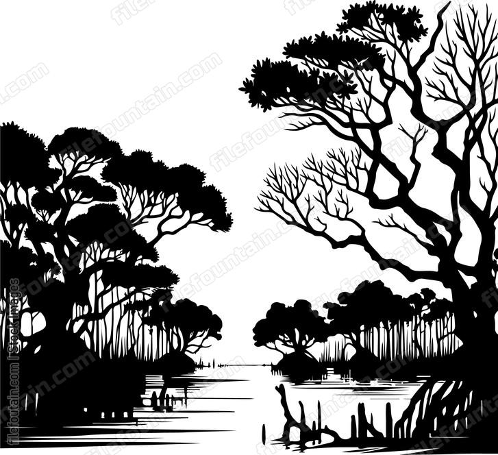 Mangrove Swamp Landscape
