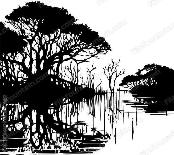 Mangrove Swamp Landscape