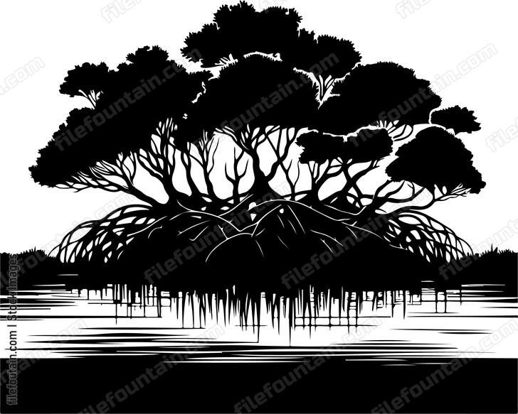 Mangrove Swamp Landscape