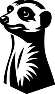 Meerkat