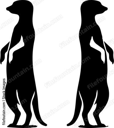 Meerkats standing
