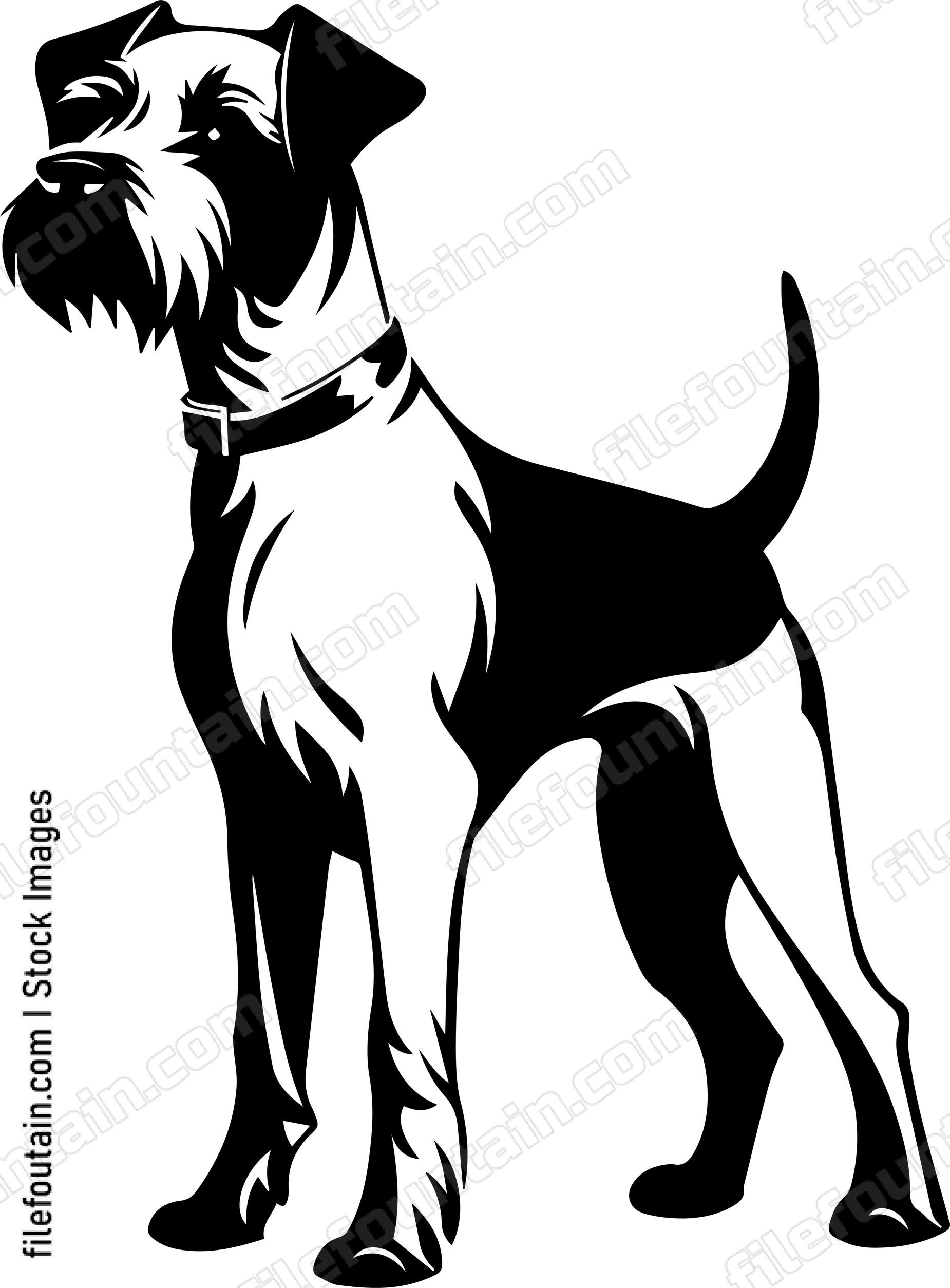 Miniature Schnauzer