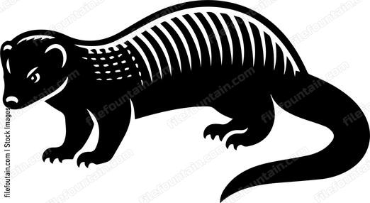 Mongoose