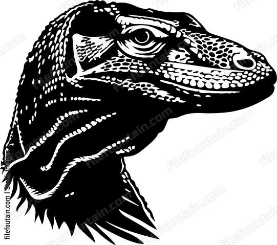 Monitor lizard graphic