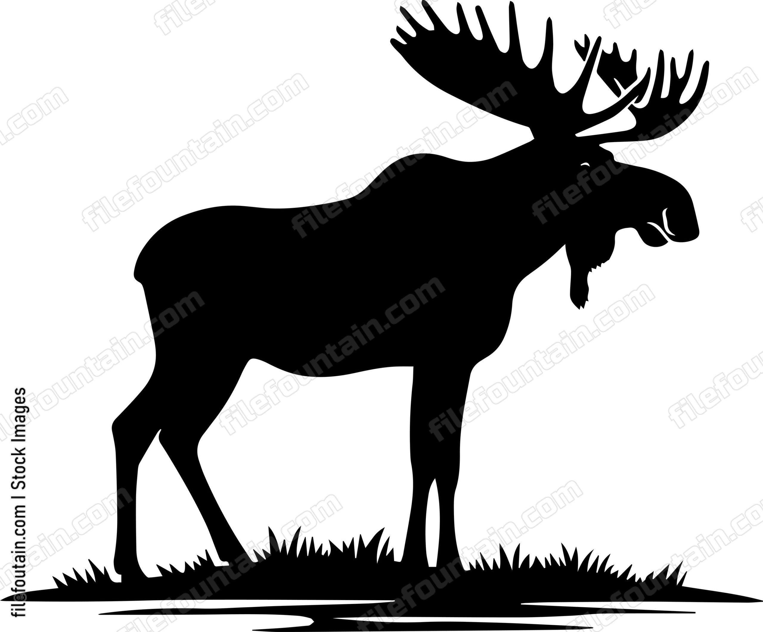 Moose