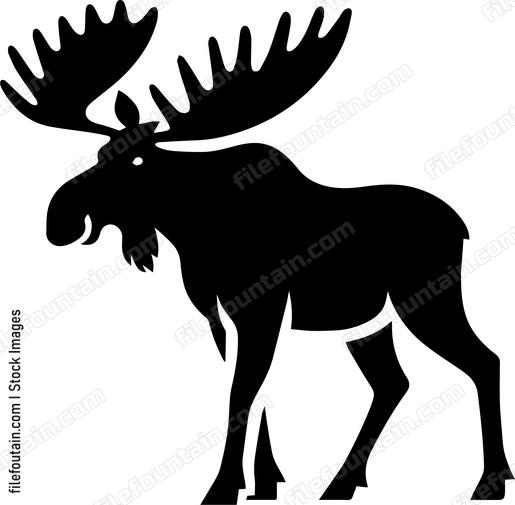 Moose
