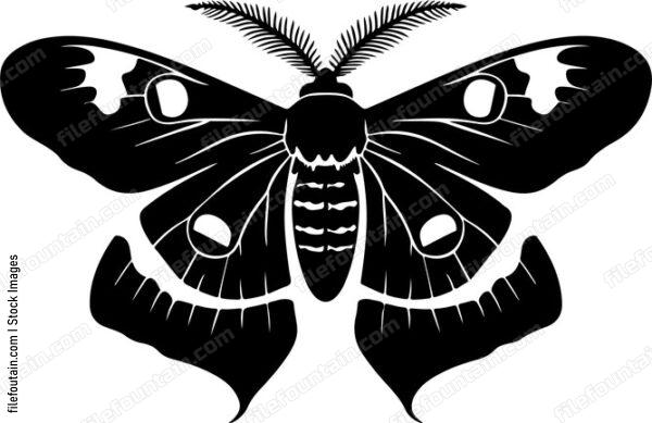 Mothpng