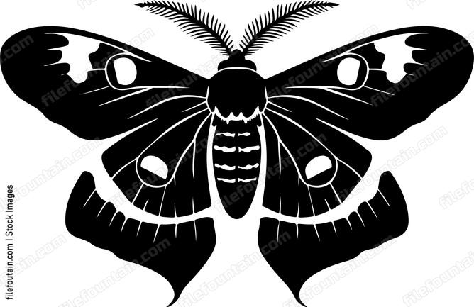 Mothpng