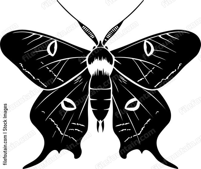 Mothpng