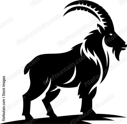 Mountain Goat