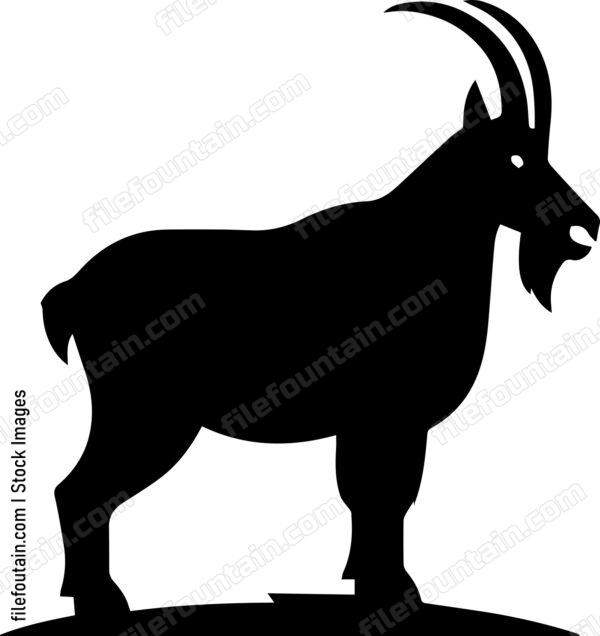 Mountain Goat