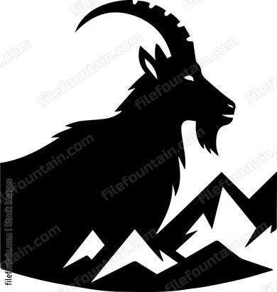 Mountain Goat
