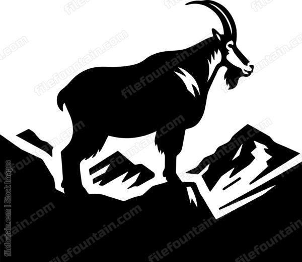 Mountain Goat