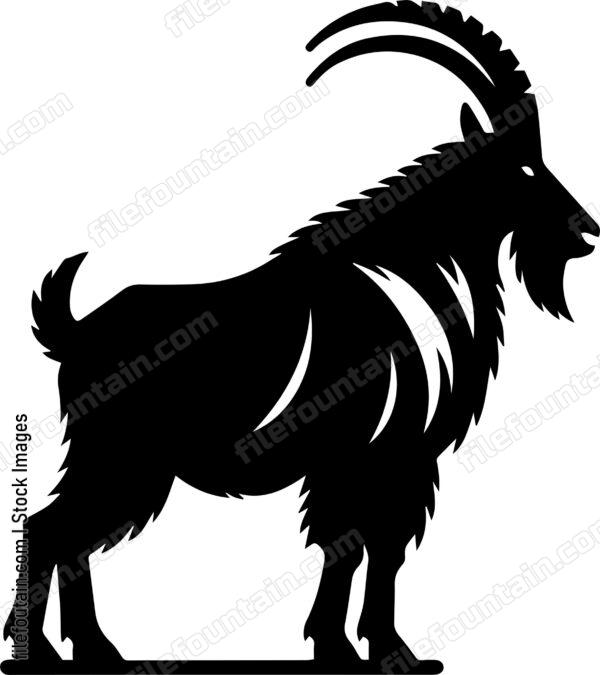 Mountain Goat