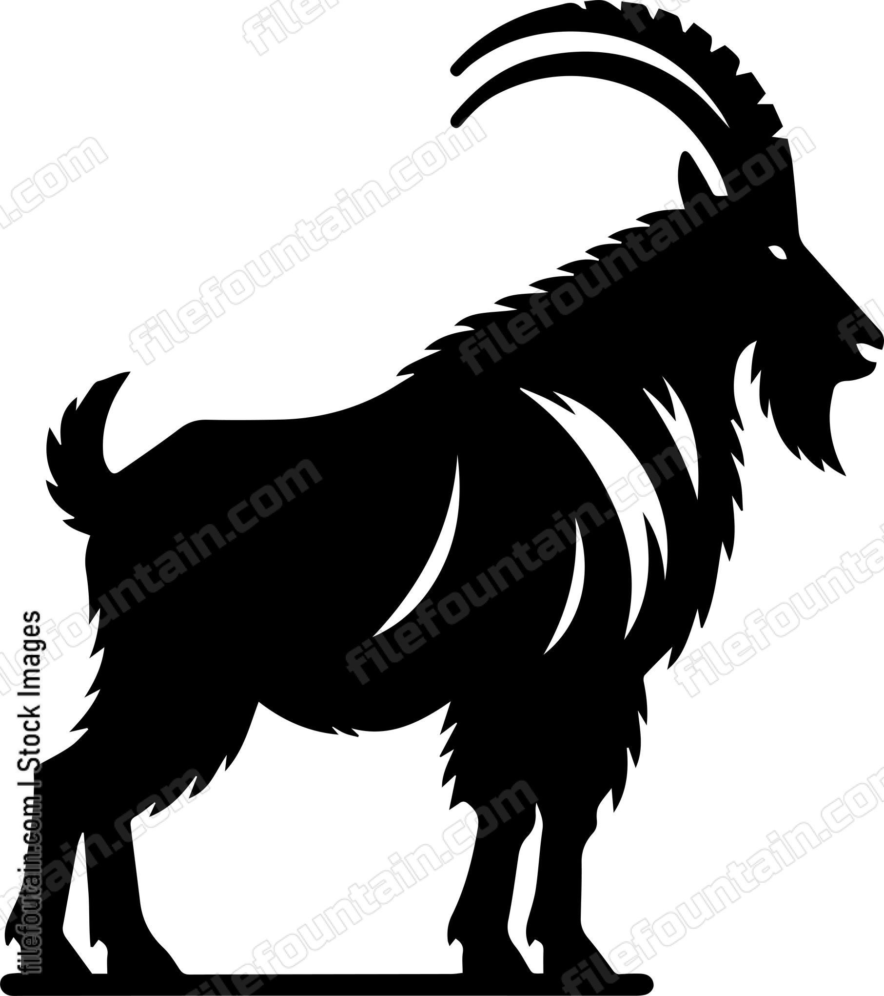 Mountain Goat