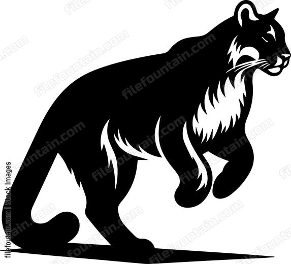Mountain Lion standing up on back feet