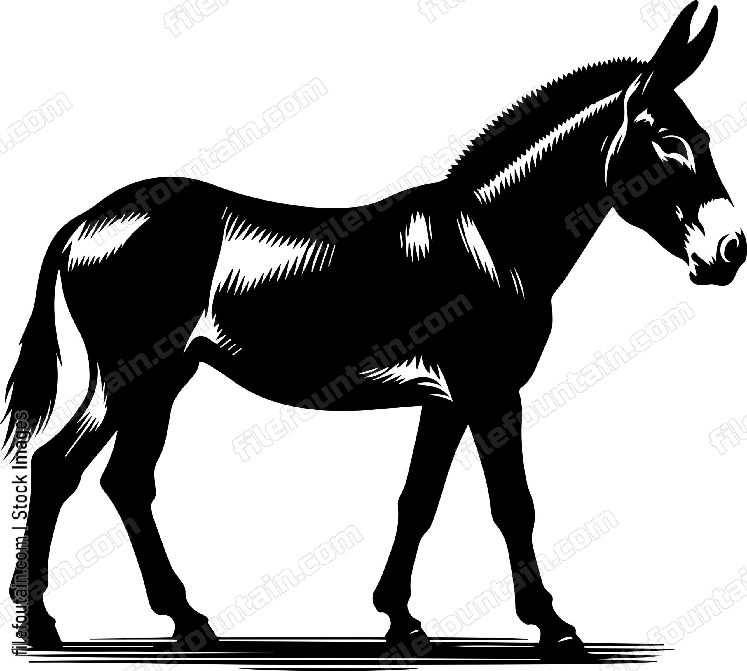 Mule