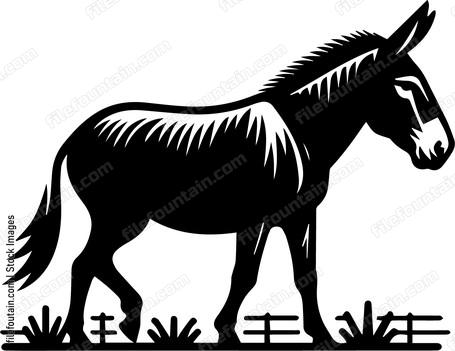 Mule