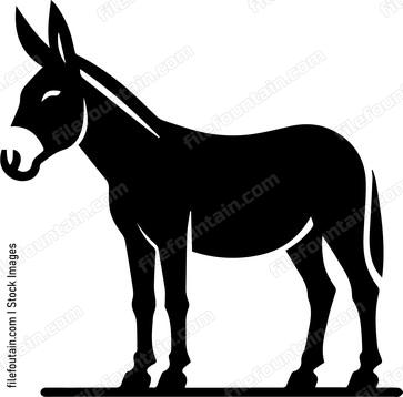 Mule