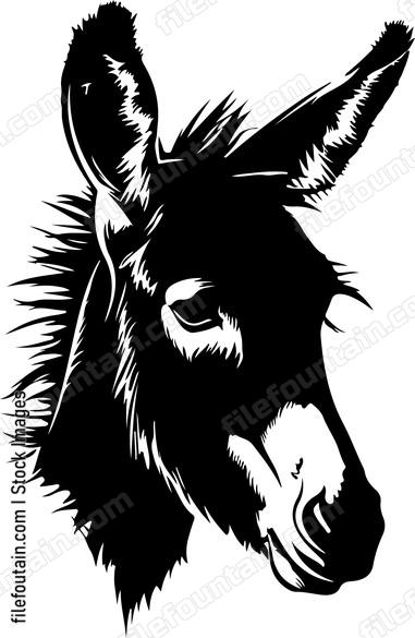 Mule