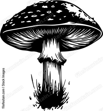 Mushrooms