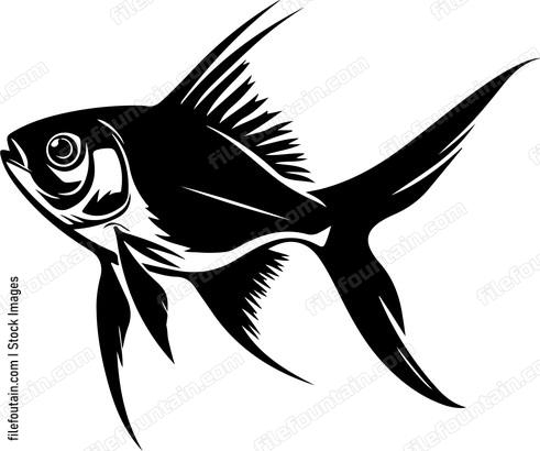 Neon Tetra