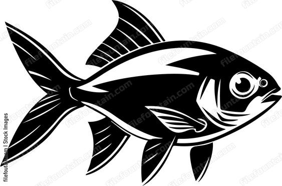 Neon Tetra