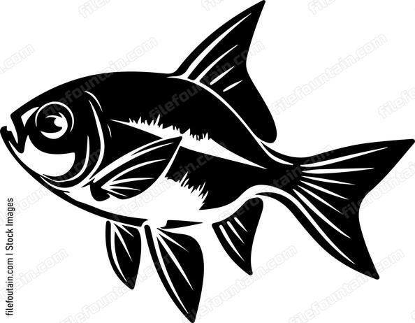 Neon Tetra