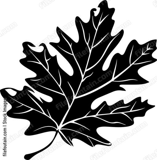 Oak Leaf