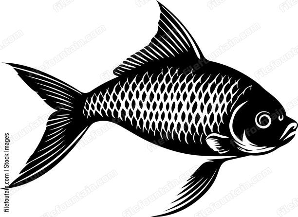 ocean Fish