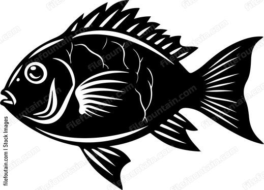 Ocean Fish