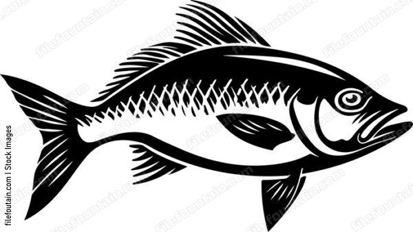 Ocean Fish