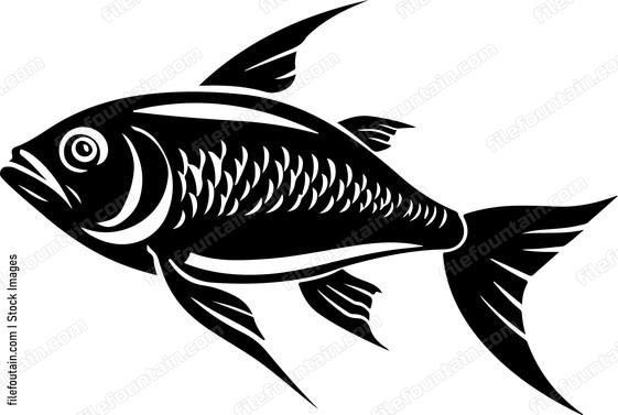 Ocean Fish