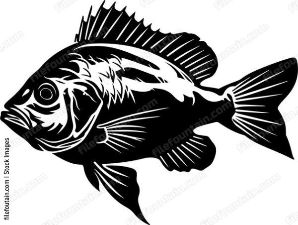 Ocean Fish
