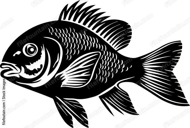 Ocean Fish