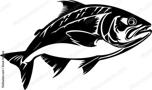 Ocean Fish