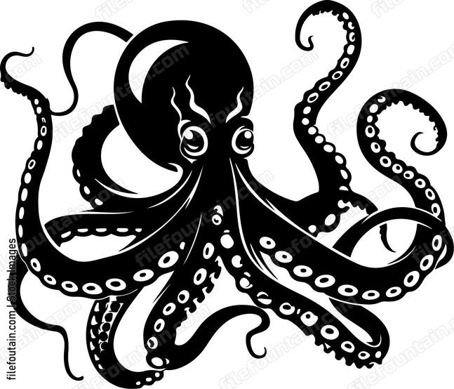 Octopus