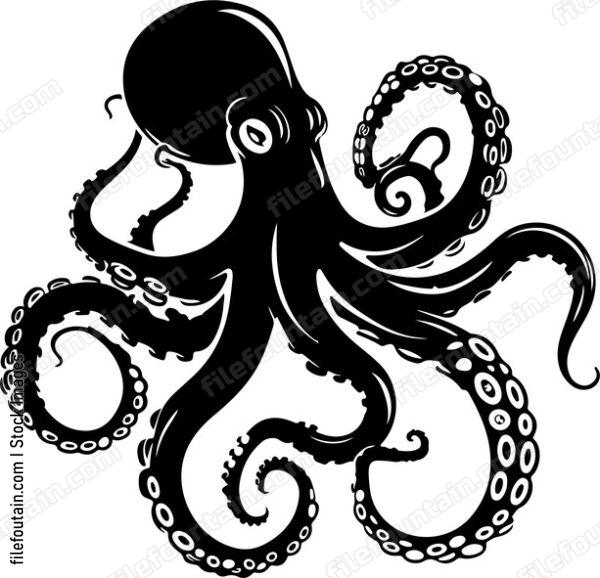 Octopus Tentacle