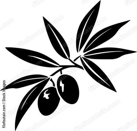 Olive branch leaves