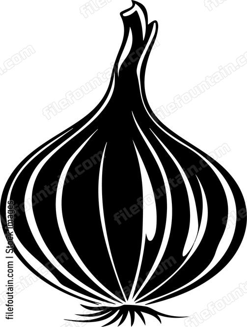 Onion