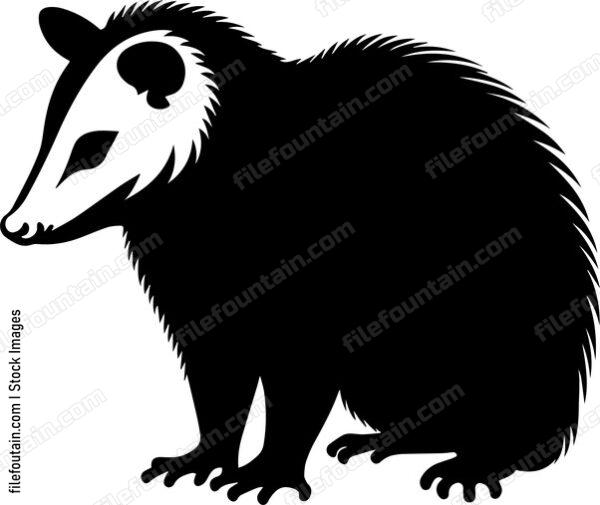 Opossum