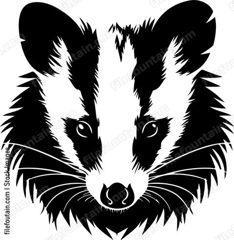 Opossum
