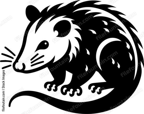 Opossum