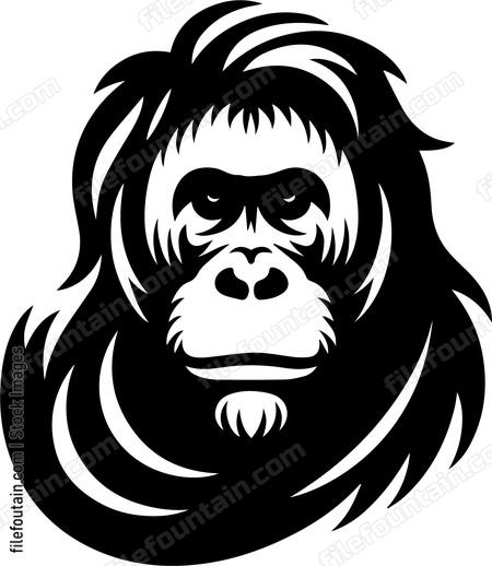 Orangutan