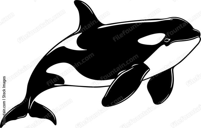 Orca