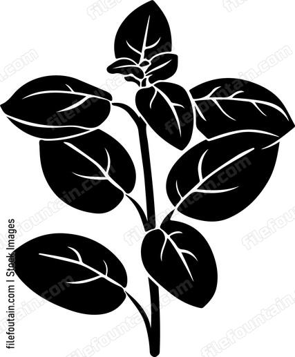 Oregano Leaf