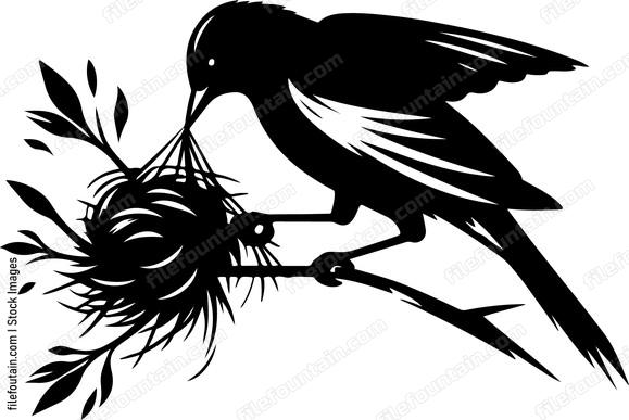 oriole collecting twigs and fibers for its nest