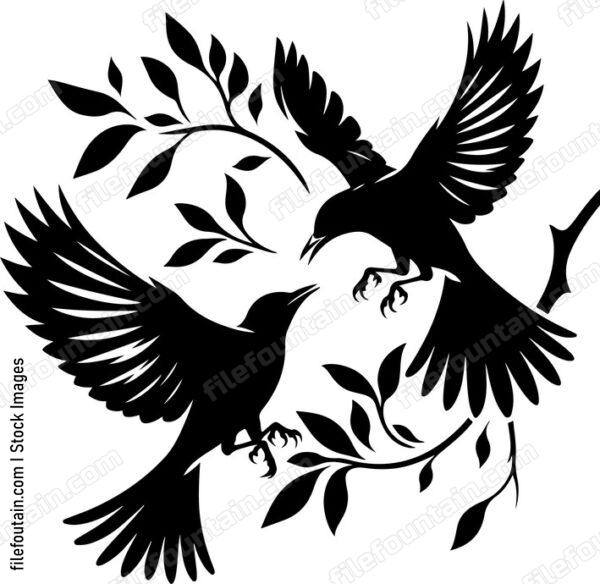 oriole engaging in a playful aerial dance with another oriole