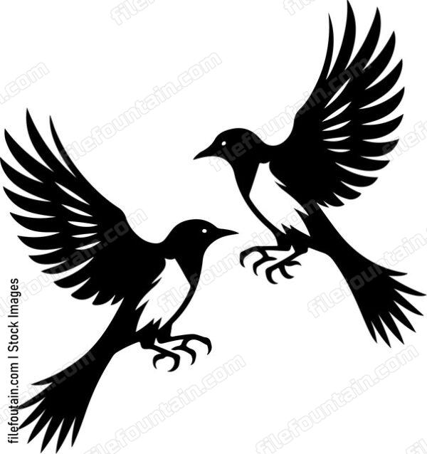 oriole engaging in a playful aerial dance with another oriole