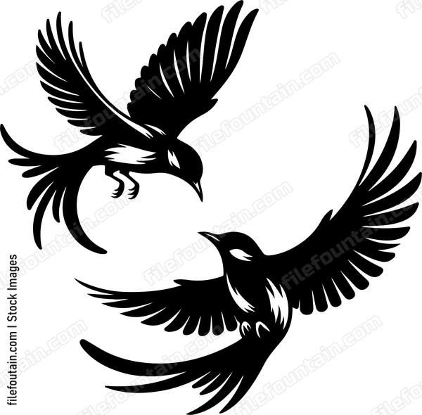 oriole engaging in a playful aerial dance with another oriole